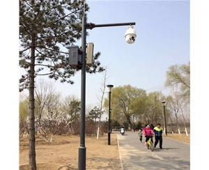 和田路灯监控杆-LB-03